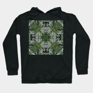 Stocksom Artemisia 3 Hoodie